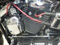 2007 Harley-Davidson Softail Custom, чёрный, 799000 рублей - вид 6