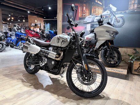 2024 Triumph Scrambler, белый, 1800000 рублей, вид 5