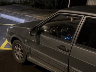 2006 Lada (ВАЗ) 2114, серый, 210000 рублей, вид 4