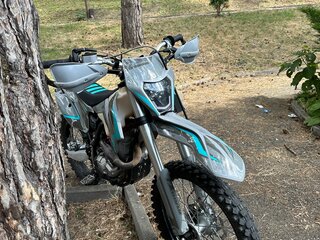 2025 FX moto YX300, серый, 115000 рублей, вид 1