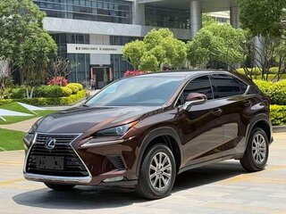 2019 Lexus NX 200 I Рестайлинг, коричневый, 2180000 рублей, вид 3