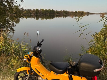 2023 Honda Cross Cub, жёлтый, 310000 рублей, вид 3