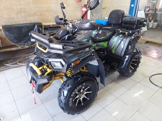 2024 Motoland Wild Track 200 X Pro, серый, 235000 рублей, вид 2