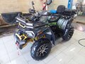 2024 Motoland Wild Track 200 X Pro, серый, 235000 рублей - вид 1