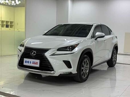 2020 Lexus NX 200 I Рестайлинг, белый, 2450000 рублей, вид 2