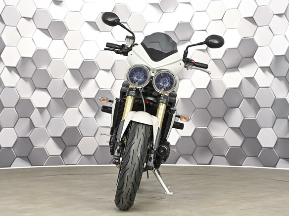 2008 Triumph Speed Triple, серый, 469000 рублей - вид 4