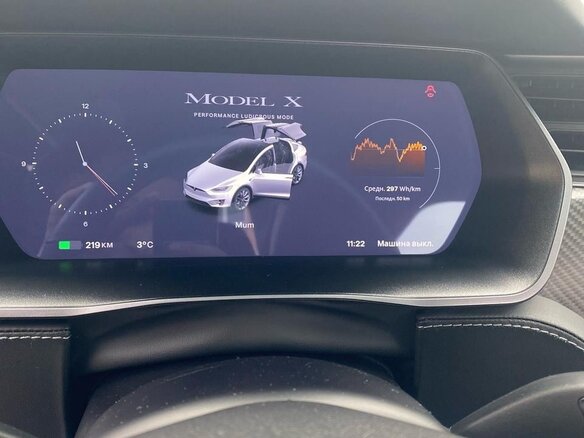 2020 Tesla Model X Performance I, белый, 6150000 рублей - вид 10