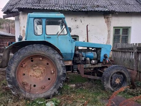 1983 МТЗ (BELARUS) 50, синий, 200000 рублей, вид 1