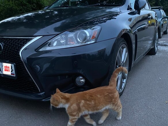 2008 Lexus IS 350 II, серый, 2150000 рублей