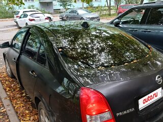 2006 Nissan Primera III (P12), чёрный, 135000 рублей, вид 4