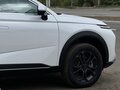 2024 Haval F7 II, белый, 2750000 рублей - вид 9