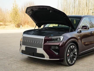 2026 Zeekr 8X 70 kWh, фиолетовый, 11300000 рублей, вид 2