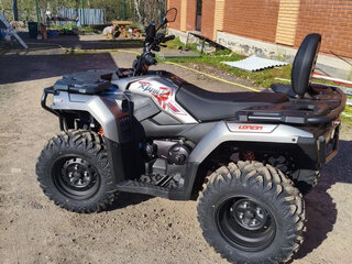 2026 Loncin XWolf 300 Max, серый, 485000 рублей, вид 3