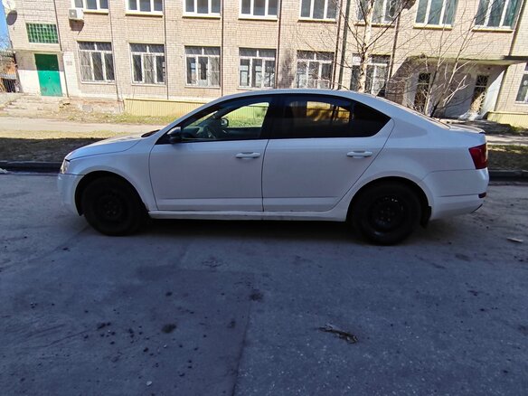 2014 Skoda Octavia III (A7), белый, 580000 рублей - вид 5