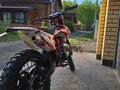 2025 Darex Alga 300, красный, 180000 рублей - вид 4