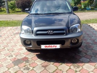 2004 Hyundai Santa Fe I, чёрный, 600000 рублей, вид 2