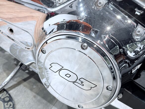 2015 Harley-Davidson Dyna Low Rider, золотистый, 1199000 рублей - вид 25