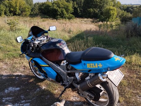 2001 Suzuki TL 1000, синий, 235000 рублей, вид 5