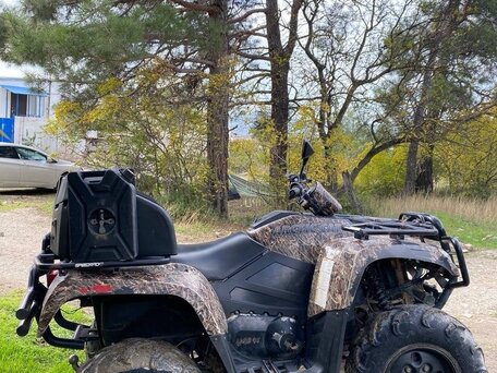 2012 Arctic Cat 650 Series, коричневый, 349000 рублей, вид 4
