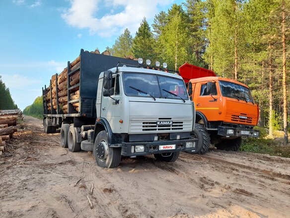 2006 КамАЗ 54115, серебристый, 1500000 рублей - вид 5