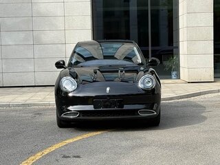 2021 Ora Good Cat 46 kWh I, чёрный, 1310000 рублей, вид 2