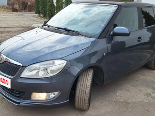 2010 Skoda Fabia II Рестайлинг, серый, 650000 рублей, вид 1