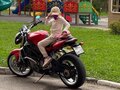 2004 MV Agusta Brutale 750, красный - вид 1