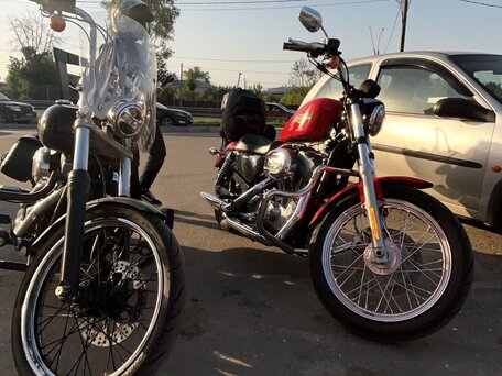 2010 Harley-Davidson Sportster 883, красный, 730000 рублей, вид 2