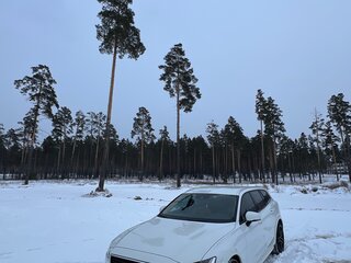2020 Volvo V60 Cross Country II, белый, 4550000 рублей, вид 5