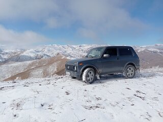 2017 Lada (ВАЗ) 2121 (4x4) Urban I Рестайлинг, серый, 550000 рублей, вид 2