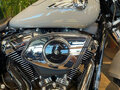 2025 Harley-Davidson Fat Boy, серебристый, 3850000 рублей - вид 9