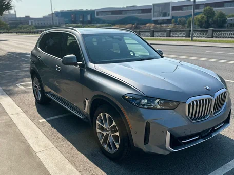 2023 BMW X5 40i IV (G05/G18) Рестайлинг, серый, 8100000 рублей, вид 3