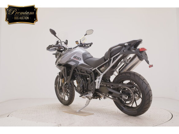 2024 Triumph Tiger 900, серый, 1260000 рублей - вид 5