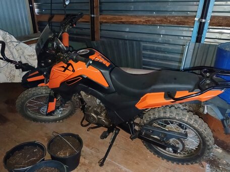2023 Shineray Fireguard 250 Trail, оранжевый, 139000 рублей, вид 2