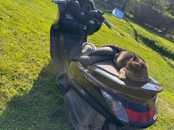 2004 Yamaha Majesty 250, чёрный, 215000 рублей - вид 2
