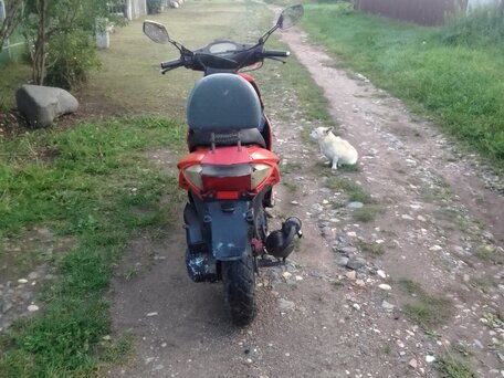 2013 Baltmotors Galactica 125, красный, 60000 рублей, вид 4