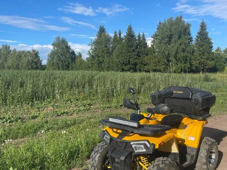 2021 Motoland Wild Track 200 X Pro, жёлтый, 175000 рублей, вид 4