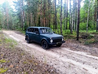 2013 Lada (ВАЗ) 2131 (4x4) I, зелёный, 530000 рублей, вид 5