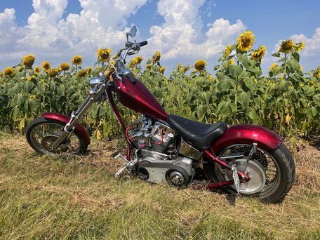 2004 Harley-Davidson Softail Custom, красный, 850000 рублей, вид 2