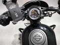 2022 Harley-Davidson Nightster, чёрный, 870000 рублей - вид 4