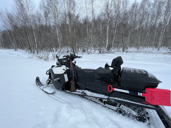 2013 Ski-Doo Expedition, белый, 1650000 рублей - вид 3