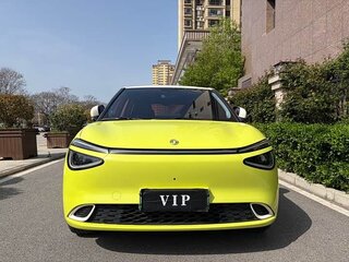2024 Dongfeng Nammi 01 42.3 kWh, жёлтый, 1170000 рублей, вид 2