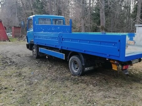 1996 Mercedes-Benz 814, синий, 960000 рублей, вид 2