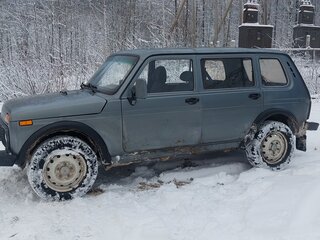 2007 Lada (ВАЗ) 2131 (4x4) Бронто-213102 I, серый, 255000 рублей, вид 2