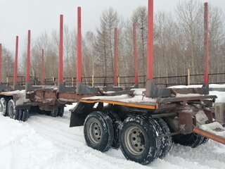 2024 САВ (СпецАвто-Восток) 8343, серый, 3276000 рублей, вид 2