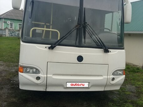 2010 КАвЗ 4238, белый, 999000 рублей, вид 1