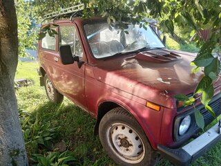 1980 Lada (ВАЗ) 2121 (4x4) I, красный, 100000 рублей, вид 2