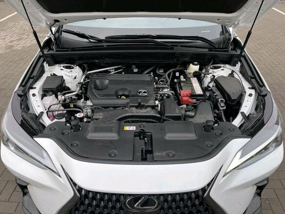 2025 Lexus NX 200 II, белый, 6450000 рублей - вид 14
