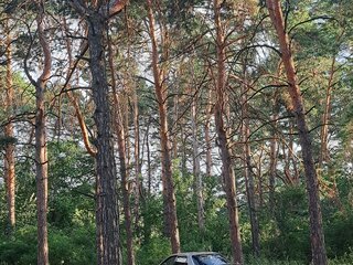 1999 Honda Torneo, серебристый, 335000 рублей, вид 3