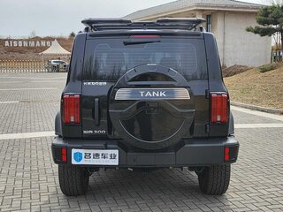 2025 Tank 300 I Рестайлинг, чёрный, 6677700 рублей, вид 5